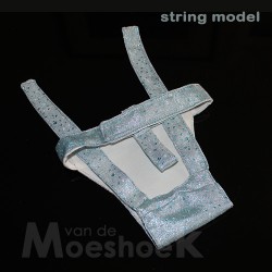 Stud pants silver green-blue (string)